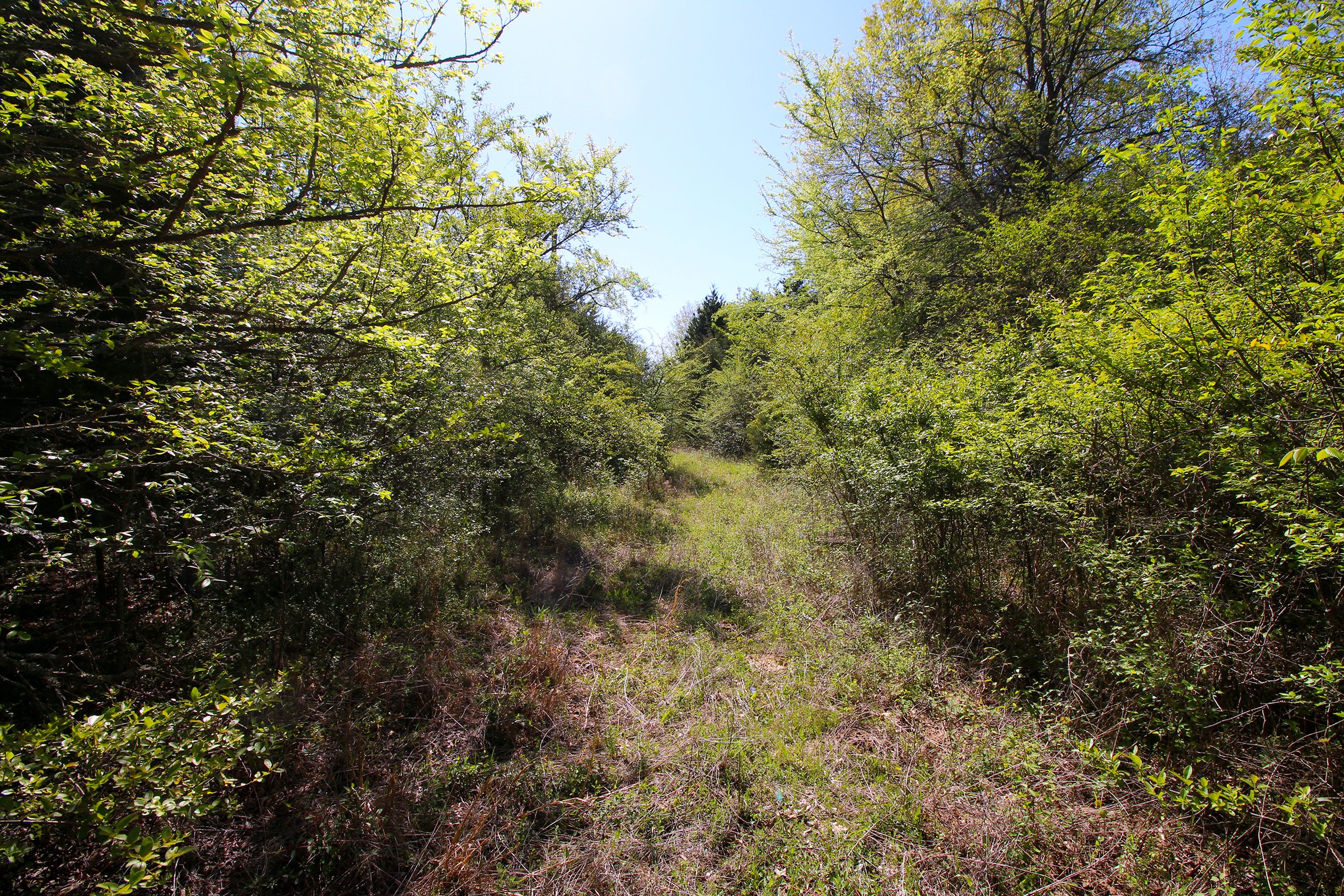 Property photo 13 - LAND AUCTION - 153+/- ACRES OFFERED IN 6 TRACTS IN OKMULGEE, OKLAHOMA